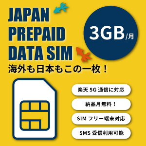 yVoC vyCh SIMJ[h 3GB 6vyChv N 180ԁ@yV@au ۃ[~Op\ f[^ʐM e[N prepaid SIM vyChSIMJ[h@iSIM