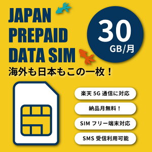 yVoC vyCh SIMJ[h 30GB 6vyChv N 180ԁ@yV@au ۃ[~Op\ f[^ʐM e[N prepaid SIM vyChSIMJ[h@iSIM