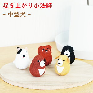 肱ڂ [^ Nオ菬@tV[Y] ~jTCY ~j`A ̂ЂTCY ߂׍H u N aG J^ fBXvC CeA  nhCh R