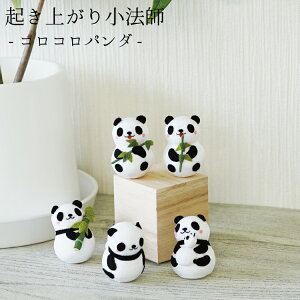 肱ڂmRRp_ Nオ菬@tV[Yn q  ~jTCY ~j`A ̂ЂTCY p_ ς ̂ʂ av[g ObY l qǂ