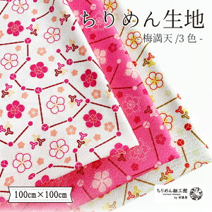 y󒍐Yiz߂񐶒n k nhCh ޗ mIC ߂񐶒n100cm×100cm ~Vn nhChLbg |n NX ߂񐶒n k IWi n z 