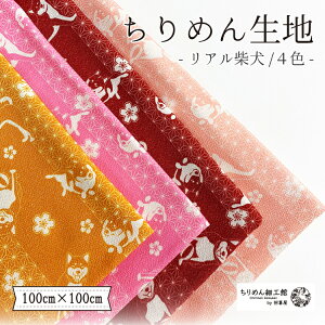 y󒍐Yiz߂񐶒n k nhCh ޗ mIC ߂񐶒n100cm×100cm AČn nhChLbg |n NX ߂񐶒n k IWi n 