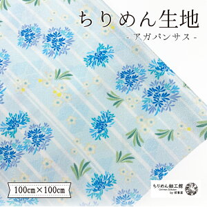 y󒍐Yiz߂񐶒n k nhCh ޗ [IC ߂񐶒n100cm×100cm AKpTX] y2_܂Ń[OKz  nhCh n NX ߂񐶒n k IW