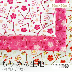 y󒍐Yiz߂񐶒n k nhCh ޗ mIC ߂񐶒n50cm×50cm ~Vn nhChLbg |n NX ߂񐶒n k IWi n z 