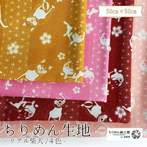 y󒍐Yiz߂񐶒n k nhCh ޗ mIC ߂񐶒n50cm×50cm AČn nhChLbg |n NX ߂񐶒n k IWi n 