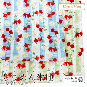 y󒍐Yiz߂񐶒n k nhCh ޗ [IC ߂񐶒n50cm×50cm ċ] y8_܂Ń[OKz  nhCh n NX ߂񐶒n k IWi