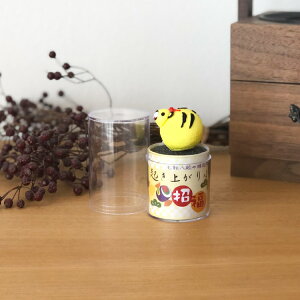 肱ڂp [ANP[X ~] Nオ菬@t p P[X h~ h~ v[g fBXvC   CeA rO  RpNg TCY 킢 