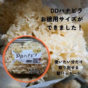 きのこ はなびらたけ」の人気商品一覧 | 安い商品を通販サイトから探す 