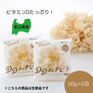 【もりのわ DDハナビラ ハナビラタケ 50g×6袋】 はなびらたけ きのこ 生鮮品 富山県産 産地直送 βグル…