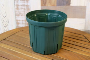 �X���b�g�� �y���������i�z 6���� ����Y�Ɛ��@KANEYA CSM-180 �y���������܂��t���z���X�O���[���@�O180×��145×��158�@�e��2.5L