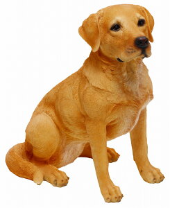 14050@hbOI[ig@iuh[Ego[j