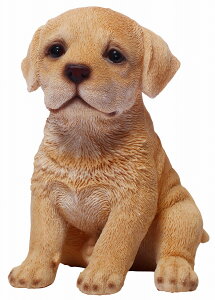 14060@hbOI[igiuh[Ego[@Ej