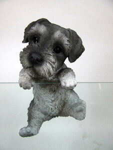 14205@hbOI[igiViEU[j