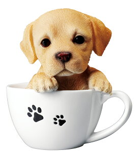 14080@hbOI[igiuh[go[j