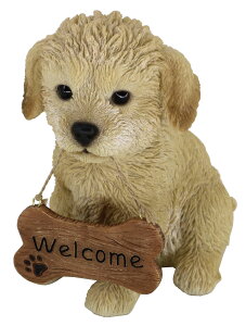 14235@hbOI[ig v[hiwelcomeTCj