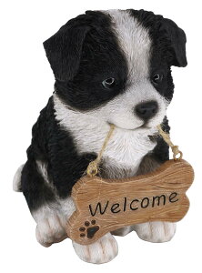 14239@hbOI[ig {[_[ER[iwelcomeTCj