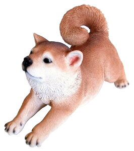 14255�@�h�b�O�I�[�i�����g�i�V�o�j