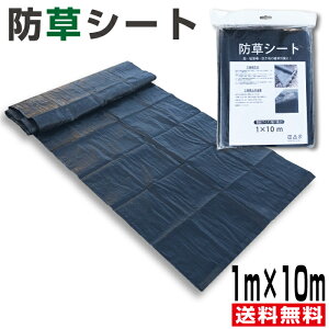 yԗDǃVbvܓXzhV[g@1m×10myzlHŃ[̉ɕ~I̎Gł̕ɁI