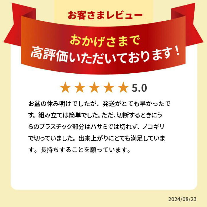 楽天市場】【4/10 10時までポイント5倍】【月間優良ショップ受賞店 