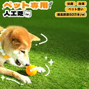 【新商品販売記念価格】ペット専用人工芝ロール 1m×10m 芝丈30mm 防草機能付 芝超高密度約60万本/平米 抗菌機能 犬猫…