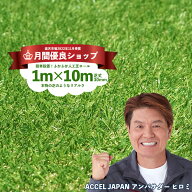 【月間優良ショップ受賞店】人工芝ロール 1m×10m 芝丈30mm 【送料無料】【U字ピン22本無料】リアル 人工…
