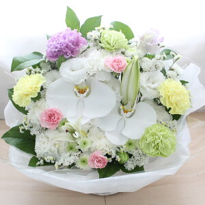  AWSfbNXTCY t[AWg t[ Mtg AW     l\  @   ~ @v @   AW