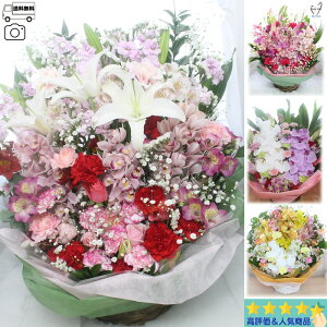 Today'sAW2LTCY t[AWg  a Mtg AW ԑ v[g    j v[g LO JXj N@LO } ސE  JX 