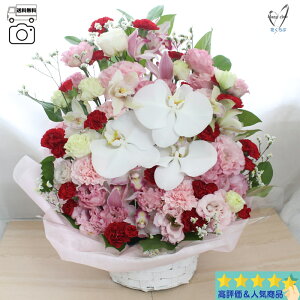 Today'sAWL@fbNXTCY t[AWg  a Mtg AW ԑ v[g    j v[g LO JXj N@LO } ސE  