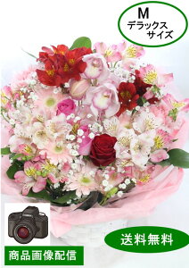 Today'sAWg@M fbNXTCY t[AWg  a Mtg AW ԑ v[g    j v[g LO JXj N@LO } 