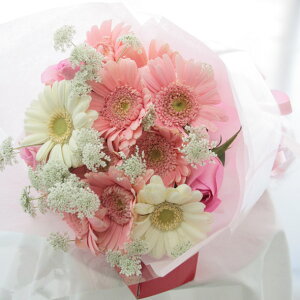 Today'sԑu[P^CvSTCY@ԑ  t[AW aj j ԑ j JXj u[P ~ju[P yMt_