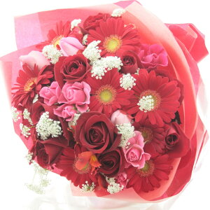 Today'sԑu[P^CvLTCY@ԑ  t[AW aj j ԑ j JXj u[P ~ju[P yMt_