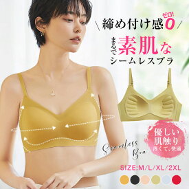 送料無料 2枚set 夏用ブラ 接触冷感 夏ブラ 涼しい 夏用ブラジャー ブラジャー 春夏 軽量 吸汗 速乾 ひびきにくい ワイヤレス ノンワイヤーブラ ムレにくい ベタつきにくい ひんやり 軽い シームレス 肌着 吸汗速乾 夏 暑さ対策 大きいサイズ ゴルフウェア レディース