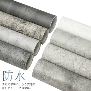 RN[g ǎ V[ ̂t CNV[g h \Ă͂ OK  ^ NX ǎ Ζڒ Be[W AeB[N C_XgA Vr[VbN 