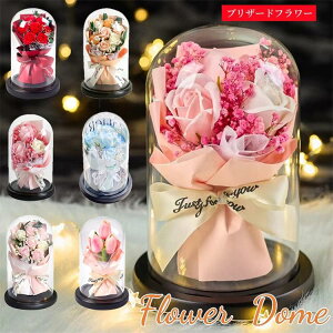 \[vt[ t[ AWg o KN ԑ KXh[ t[Mtg LO a v[g ͂Ȃ j