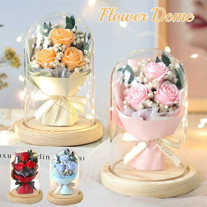 \[vt[ V{h[ AWg KXh[ t[Mtg o KN ԑ u[P a j v[g