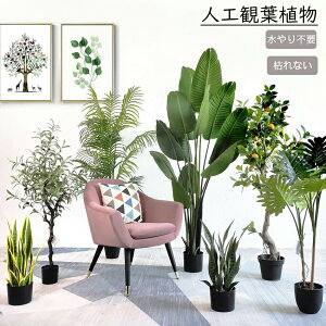 lHϗtA tFCN tFCNO[ ^  70cm 80cm 90cm 100cm 105cm 110cm 130cm  k CeA  O ItBX ݑ tFCNA sv ͂Ȃ ~͐A p Be