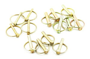 Os [`s Zbg gN^[ gbN _@ k^@ i p[c (3TCY14Zbg)