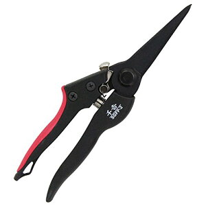 g OXt@Co[ 195mm  SGFP-2