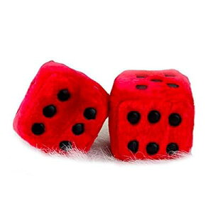 TCR  [~[ ANZT[ nMO 傫 _CX h ()