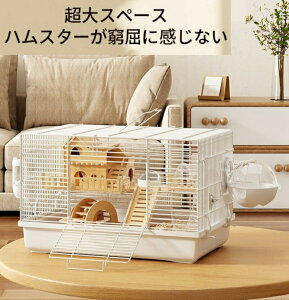 nX^[P[W L  lXȃX^C̑gݍ킹p\ g ^т₷ ʋCς |₷ z/[^֗ XgX ^s\h z