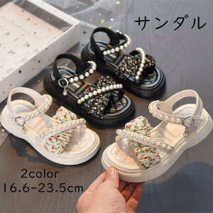 T_ ̎q 킢 LbY 2color ₷ LbYT_ r[`T_ ʊw  w tH[}V[Y ɂȂ ₷ LbYV[Y 炩 q WjA 1