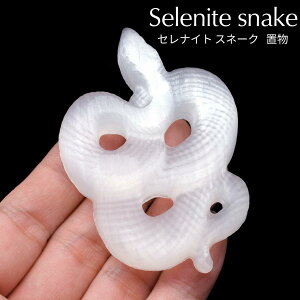  2025N x  u ZiCg LbcAC VRWvT ΍p  VN N 蕨 ւ u Xl[N  N VR p[Xg[