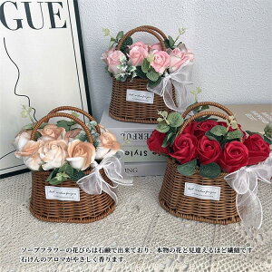  Mtg \[vt[ Ԃ  [Y J[l[V oXPbg t[AWg  ͂Ȃ  a v[g