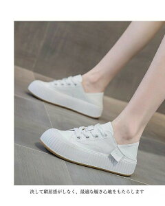 y݌ɌzXj[J[ fB[X  4cm JWAV[Y tbgV[Y Xj[J[ EhgD y r 芴 Xb| PUXj[J[  tFCNU[ XV