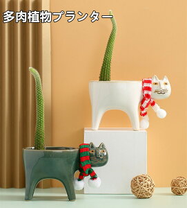 Aؔ  픫 A ϗtA K[fjO XJ[tt  CeA 퐻 k Ƒ ꕔJE L^ v[g