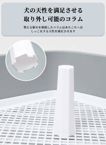 pgC ybggC ^ ybg bV gC pgCg[ ~ ybgpi gC 65cm×50cm ̃gC g[jO ȒP R }[LO|[t
