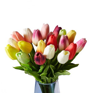 y20{Zbgz ͂Ȃ `[bv CeA Mtg A[gt[ }`J[   X iX  p[eB[ lH tFCNO[ Cxg fR[V K[