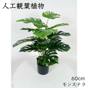 lHϗtA tFCN tFCNO[ ^  60cm  k CeA  O ItBX ݑ tFCNA sv ͂Ȃ ~͐A p Bep  A JXj