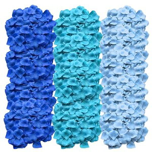 Ԃт 3000Zbg u[n t[V[ KN ỏԂт [Y  v|[Y   EGfBO 2 a j NX}X p[eB[p  Be o