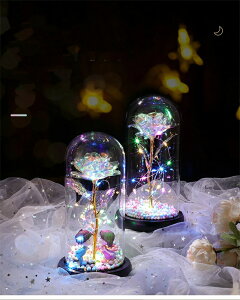 ԙ 24KS[h[Y o ͂Ȃ bL[Y  LEDCgt dr ԑ v[go o^Cf[f[ ̓ j aj  NX}X VN jɓKp q